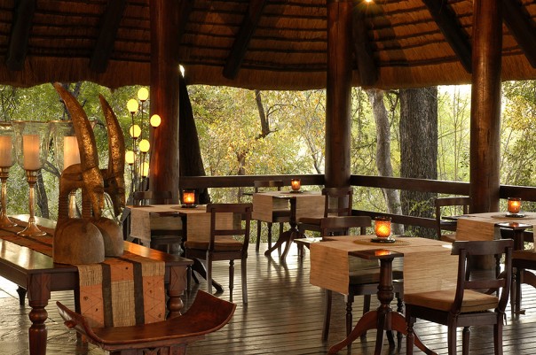 Little Bush Camp - África do Sul