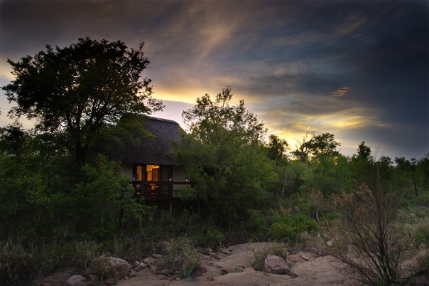 Little Bush Camp - África do Sul