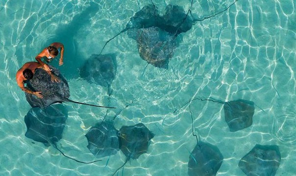 Moorea_lua de mel