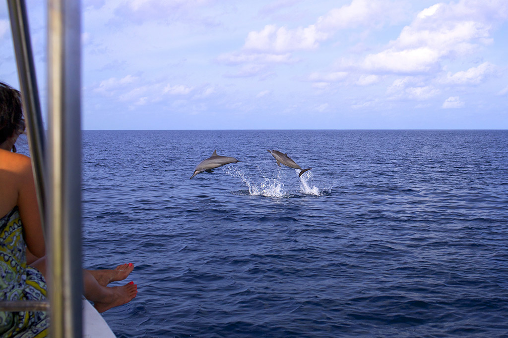 Cruzeiro para ver golfinhos Foto cortesia Six Senses Hotels Resorts Spas
