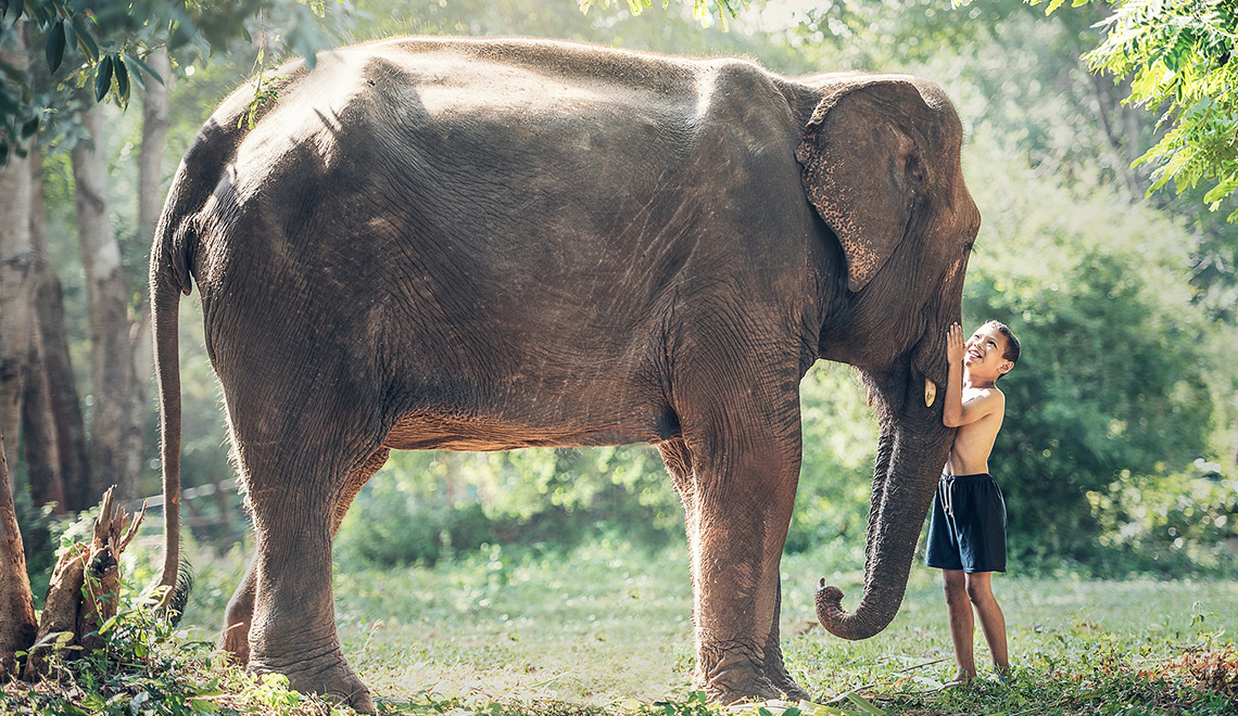 garoto e elefante