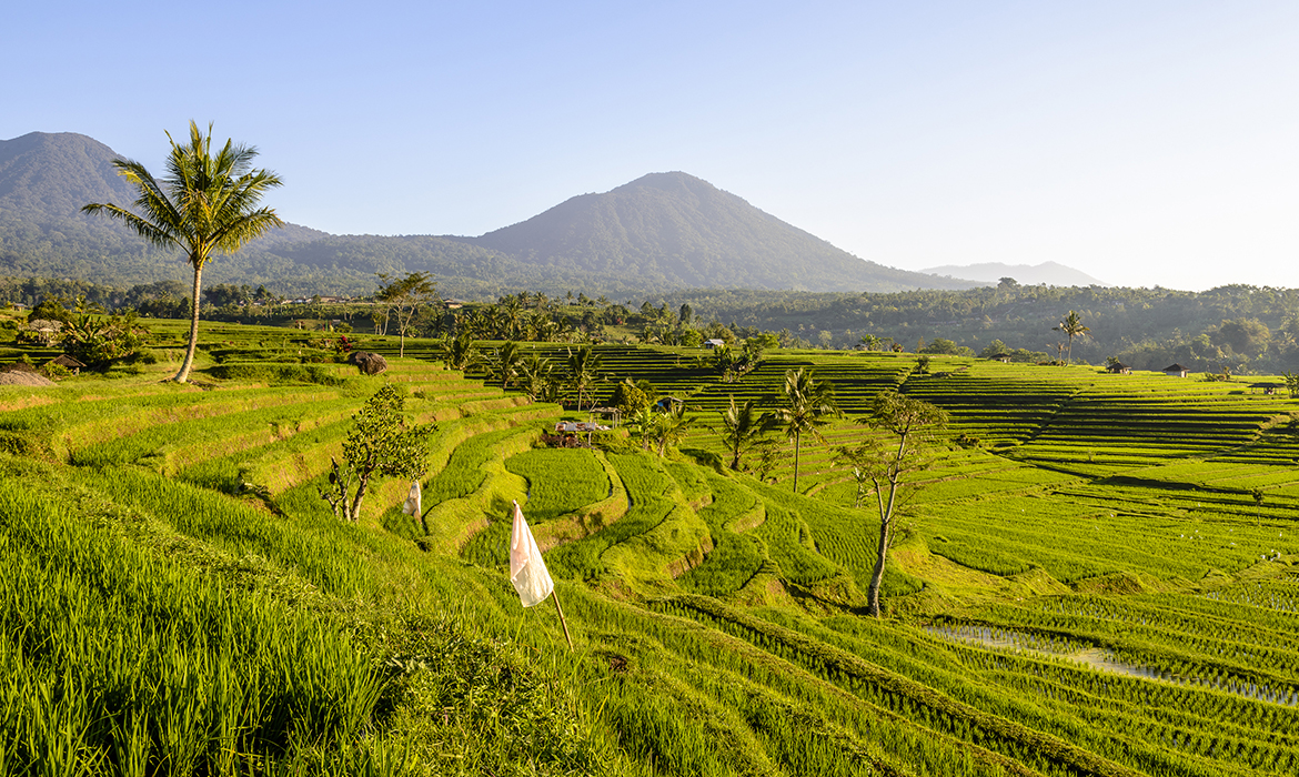 Indonésia _ Bali