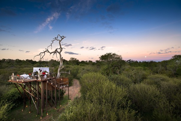 Treehouses África do Sul