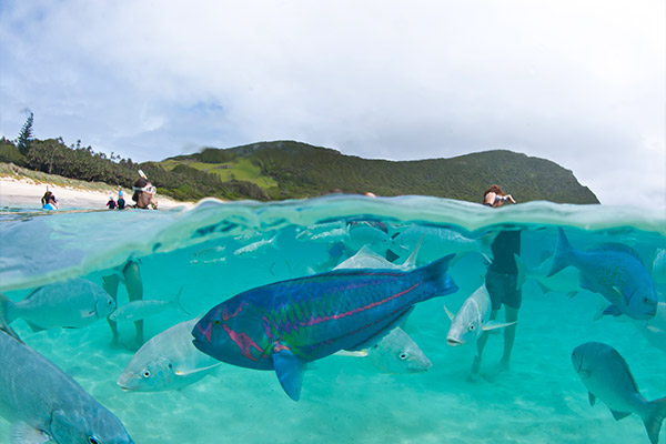 Foto Luxury Lodges of Australia