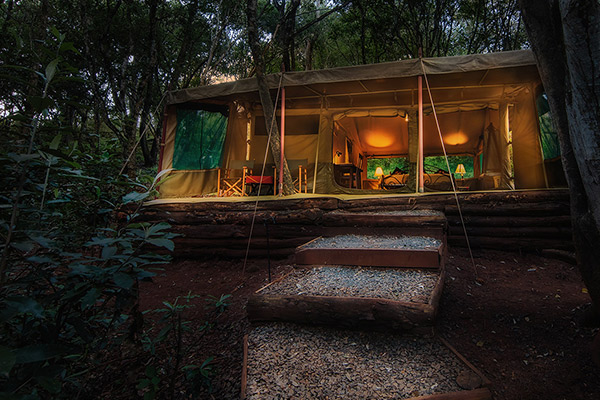 Uma tenda típica no Nairobi Tented Camp, a poucos minutos de Nairobi. Foto Porini Camps