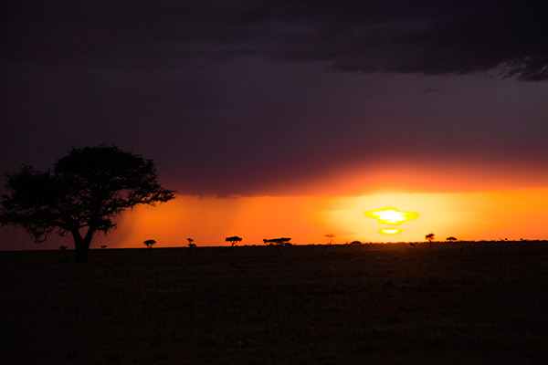 Um pôr-do-sol impecável na savana africana. Para ficar na memória! Foto Andrea Landaeta