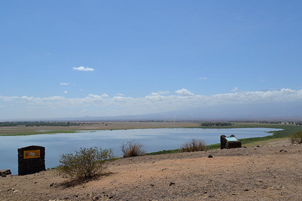De um ponto de observação estratégico, um pouco acima da planície e próxima de uma água, é o lugar ideal para avistar animais no Amboseli. Foto Lilian Albernaz