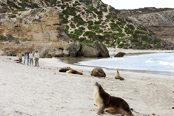 Foto Luxury Lodges of Australia