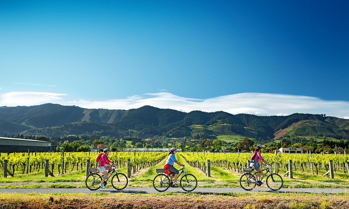 Três mulheres andando de bicicleta por um vinhedo da Nova Zelândia