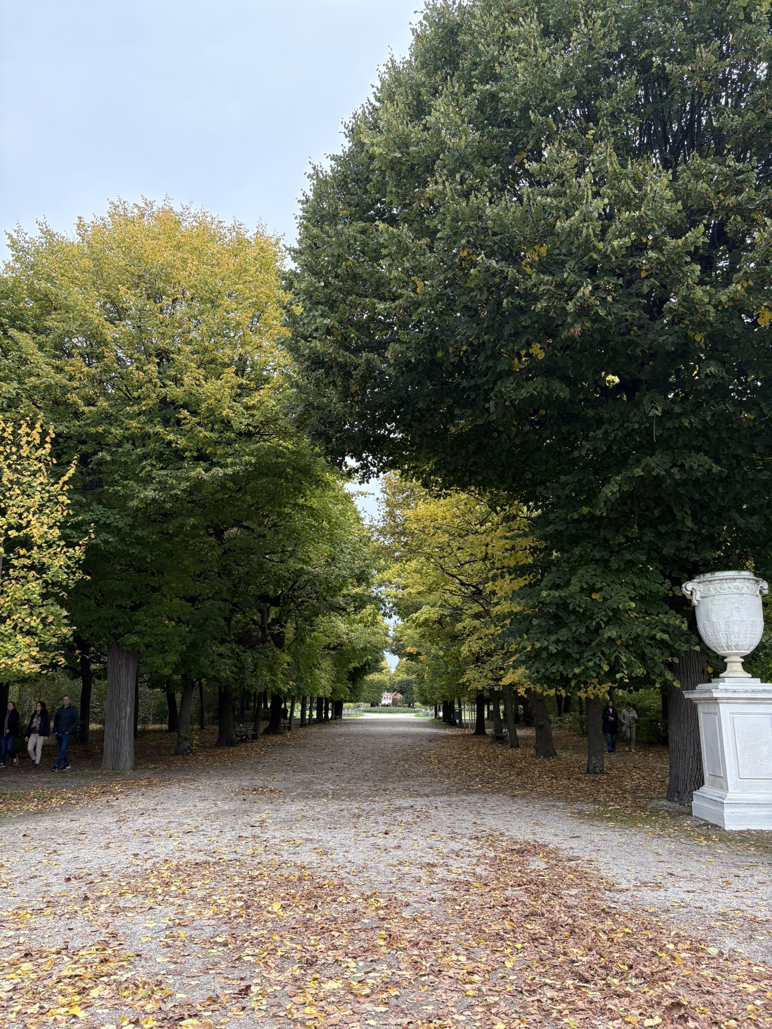 Jardins no Schönbrunn